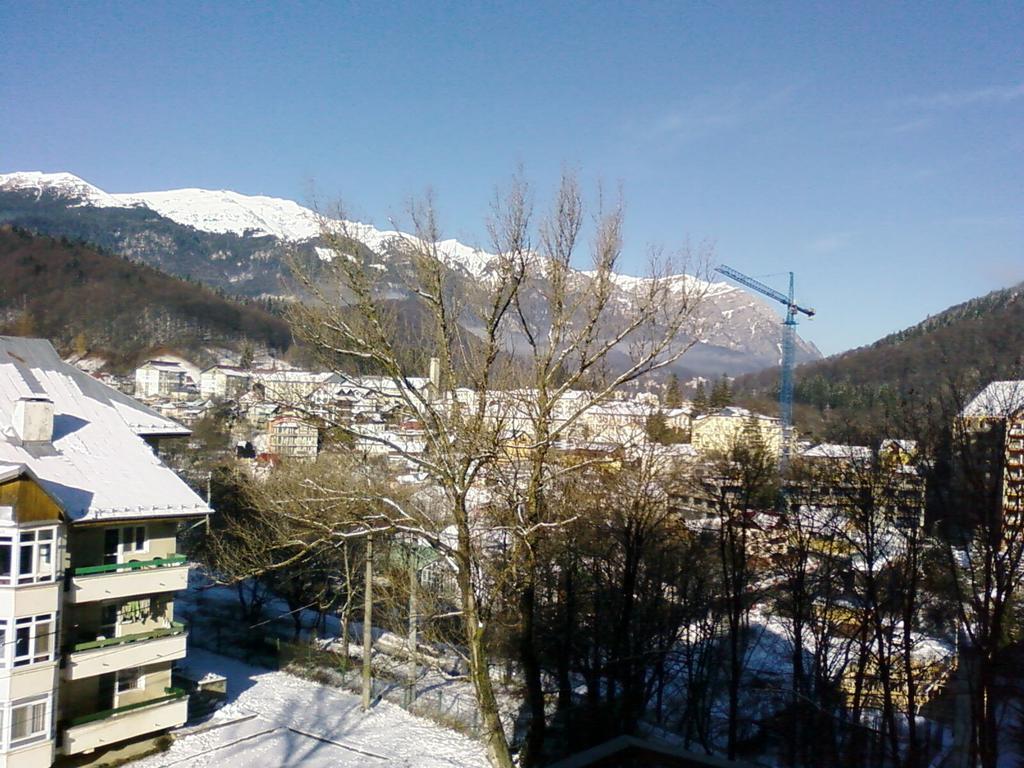 Appartement Mountain View Nest à Sinaia Extérieur photo